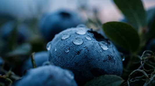 A glass of water bubbling with dissolving molecular hydrogen tablets next to a fresh running trail, representing cellular hydration and athletic recovery